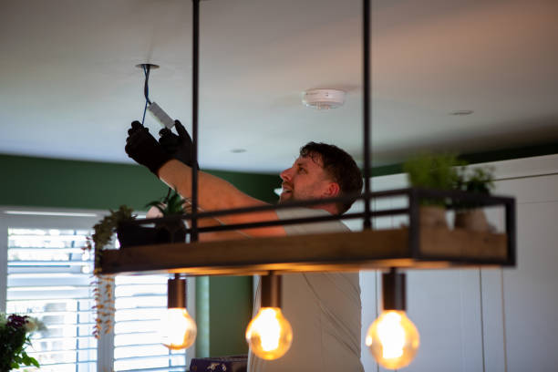 Best Electric Panel Repair  in Ash Flat, AR